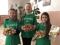 Участь у Всеукраїнському благодійному освітньому проєкті “Flowers4school“