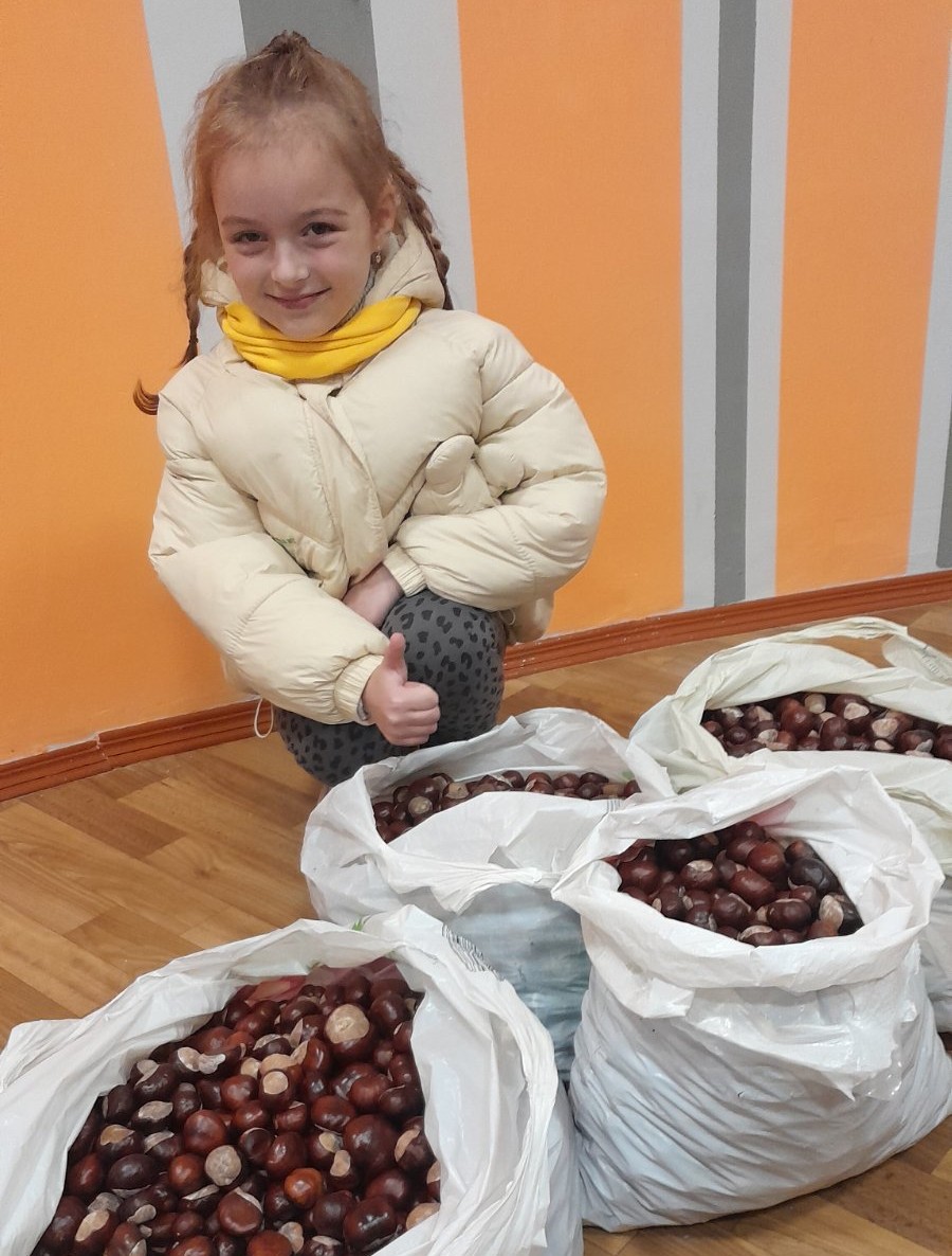 зображення viber 2025 10 01 15 58 46 676