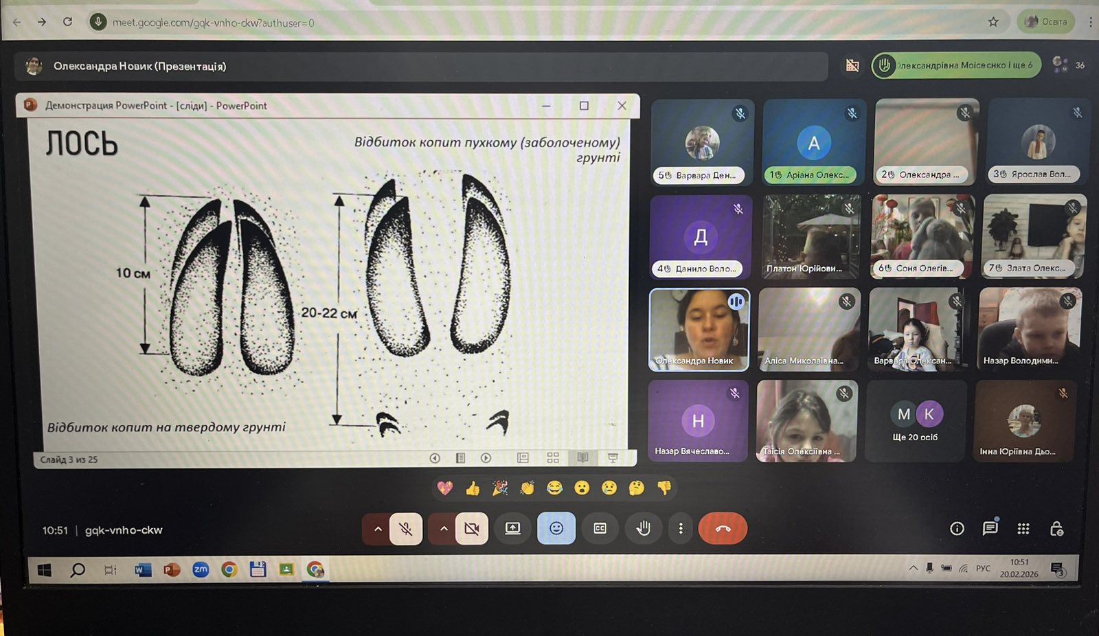 зображення viber 2026 02 20 11 16 09 718